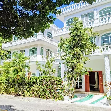 3Br Phouse Rooftop Terrace With Plunge Pool And Ocean View Walk To Beach 5Th Ave And Cozumel Ferry