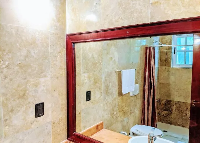 Apartamento 3br Phouse Rooftop Terrace With Plunge Pool And Ocean View Walk To 5th Ave And Cozumel Ferry